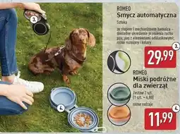 ALDI Miski podróżne Romeo (Karma) oferta