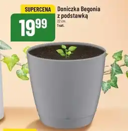 Polomarket Doniczka oferta