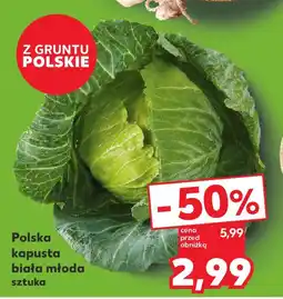 Kaufland Polska kapusta biała młoda oferta