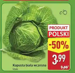 ALDI Kapusta wczesna oferta