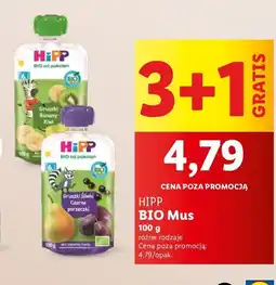 Lidl Mus owocowy gruszki-banan-kiwi Hipp hippis oferta