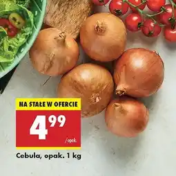 Biedronka Cebula oferta