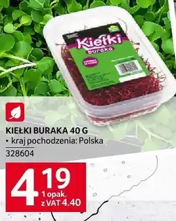 Selgros Kiełki buraka 40 g Selgros oferta