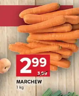 Stokrotka Marchew 1kg Stokrotka oferta