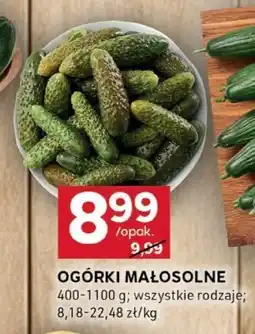Stokrotka Ogórki małosolne, 1 opak. Stokrotka oferta
