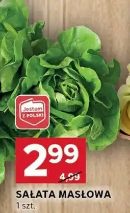 Stokrotka Sałata masłowa polska 1 szt. Stokrotka oferta