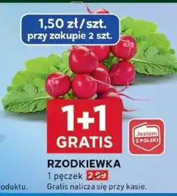 Stokrotka Rzodkiewka, 1 pęczek Stokrotka oferta