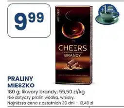 Stokrotka Praliny Mieszko oferta