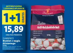Lidl Brykiet drzewny Flammenco oferta