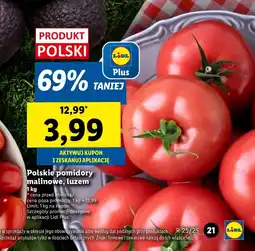 Lidl Pomidory Plus-Plus oferta