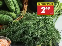 Biedronka Koperek oferta