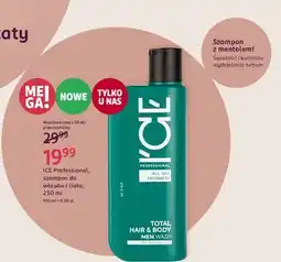 Rossmann Szampon do włosów Ice Professional oferta