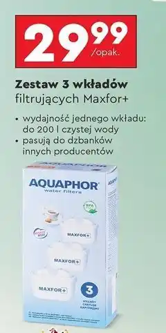 Biedronka Wkłady filtrujące Maxfor+ oferta