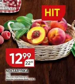 Chata Polska Nektarynka Chata Polska oferta