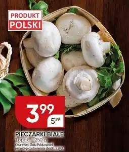 Chata Polska Pieczarki białe Chata Polska oferta