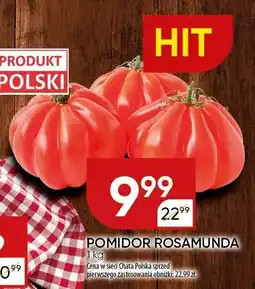 Chata Polska Pomidor Rosamunda Chata Polska oferta