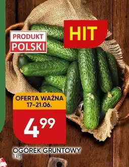 Chata Polska Ogórek gruntowy Chata Polska oferta