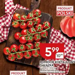 Chata Polska Pomidor koktajlowy gałązka Chata Polska oferta