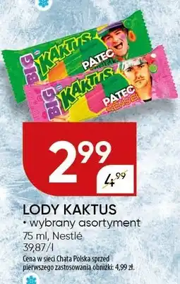 Chata Polska Lody Kaktus Nestle oferta