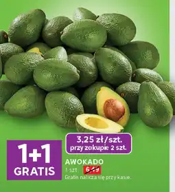 Stokrotka Awokado Stokrotka oferta