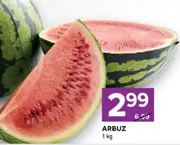 Stokrotka Arbuz Stokrotka oferta
