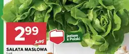 Stokrotka Market Sałata masłowa oferta