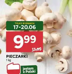 Stokrotka Market Pieczarki oferta