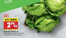 Biedronka Kapusta młoda szt oferta