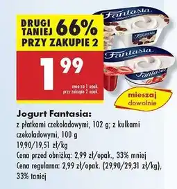 Biedronka Jogurt FANTASIA oferta