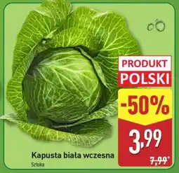 ALDI Kapusta biała wczesna oferta