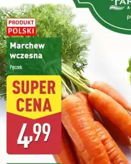 ALDI Marchew wczesna oferta