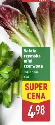 ALDI Sałata rzymska mini czerwona oferta