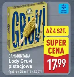 ALDI SAMMONTANA Lody Gruvi pistacjowe oferta