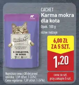 ALDI Cachet Karma mokra dla kota oferta