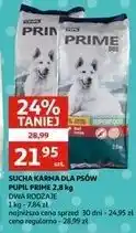 Auchan Karma dla psa mini Pupil Prime oferta