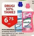 Auchan Płyn do mycia glazury, terakoty i pcv morska bryza Ludwik oferta