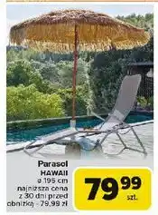 Parasol hawaii 195 cm