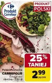 Carrefour Botwinka polska Carrefour oferta