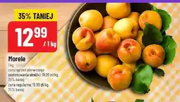 Polomarket Morele POLOmarket oferta