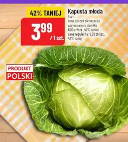 Polomarket Kapusta młoda POLOmarket oferta