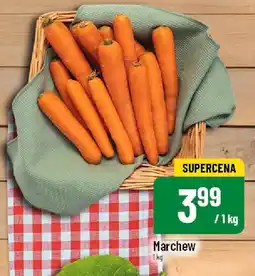 Polomarket Marchew POLOmarket oferta