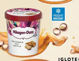 Polomarket Lody Haagen Dazs Macadamia Nut Brittle 460ml oferta