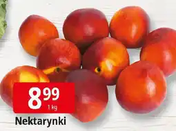 E.Leclerc Nektarynki oferta