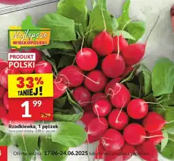 Rzodkiewka, pęczek Najlepsze z Wielkopolski