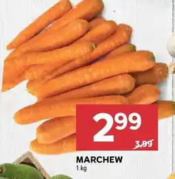 Stokrotka Marchew Stokrotka oferta