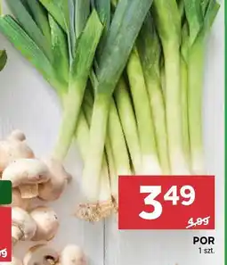 Stokrotka Por Stokrotka oferta