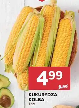 Stokrotka Kukurydza kolba Stokrotka oferta
