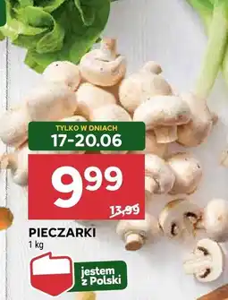Stokrotka Pieczarki Stokrotka oferta