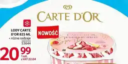 Selgros Lody Carte d'Or różne rodzaje oferta