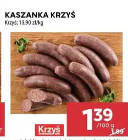 Stokrotka Kaszanka krzyś oferta